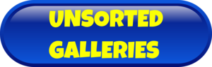 Unsorted Galleries